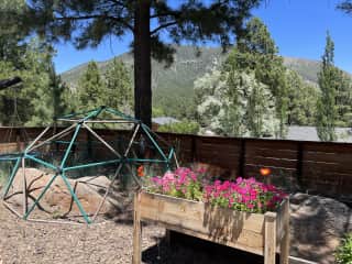 Front yard
