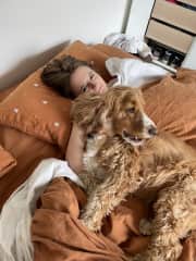 Matilda, we have been looking after for over 5 years! Since she was a puppy, we have had her for long-weekends and sometimes a month at a time.