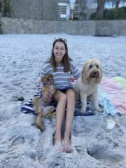 Making doggo friends on the beach in Cape Town