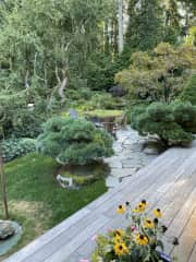 Patio and pond