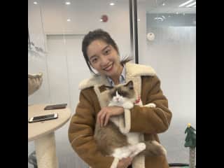 Caring my client company’s cats. My client’s company got two cats fostered in their office. Employees take turns to feed, little, and groom. I always help them around. What a fantastic relief during the working hours!! (Shanghai)