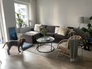 Living room sitting area