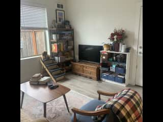 The living room view. The backyard space doesn’t have a door from inside, so the dogs go out the window from the stairs.