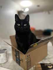 In my box.