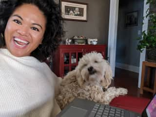 Archie, a Yorkiepoo was my constant remote working companion on a recent sit. Such a cuddly coworker :)