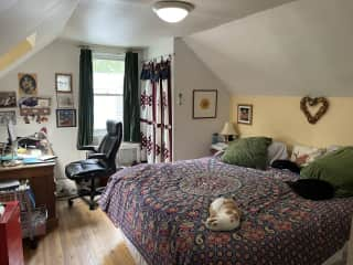 Master bedroom upstairs (and cats!)