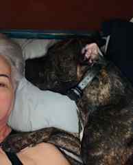 Waking up in the morning to Lulu sharing my pillow!