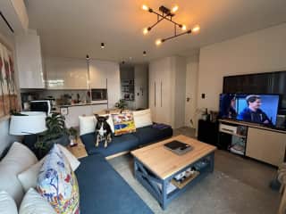 Open Plan Lounge & Kitchen