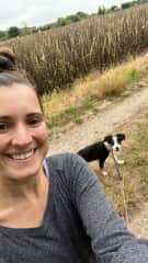 Daily field walks & training with Fergie the excitable pup!