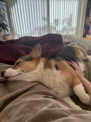 Afternoon nap