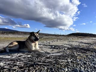Observing on a gravel bar of the river