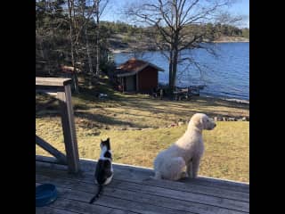 Charlie at our summer house