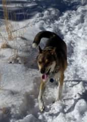 Loves to hike/walk!