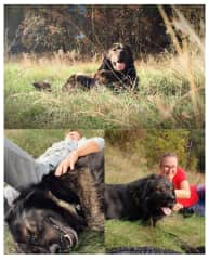 Vova is a very energetic 2-year old boy that we take for long walks daily. This is the three of us resting after an 8km hike before going back home.