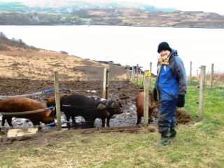 Winter house sit on the Isle of Skye with chickens, ducks, cats and pigs