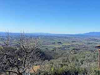 The View