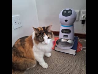 Caleesi with her RoboCat food dispenser.