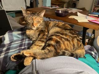 Cuddlebug :)