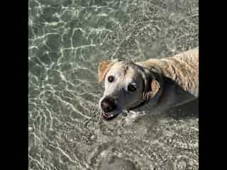 I love to swim!