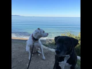 Palos Verdes (PV) walk along the nearby cliffs