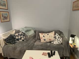 Lounge (with sofa protected from cat scratching!)
