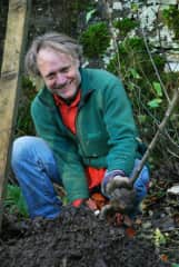 Forest planting