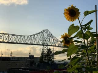 End of summer views- sunset from our garden