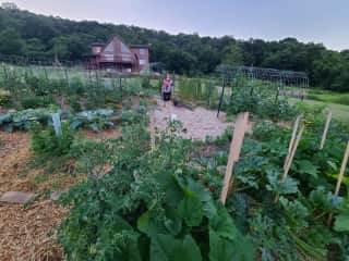 Our garden, year 1