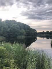 Walking distance to Scarborough Marsh