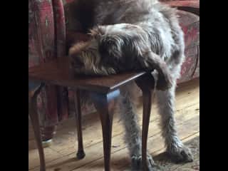 Can this be comfortable??