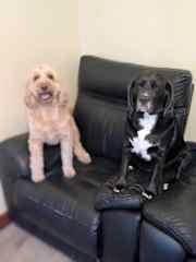 Reggie and Tyson