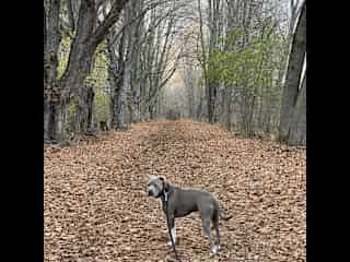 Hiking the provincial park close by