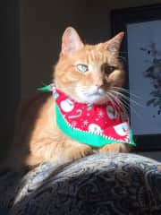 Graham in the spirit!