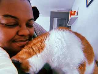 This is Khan (or Mr. Khan I would call him). One of my favorite cats to sit for! What an angel.