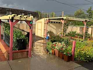 Backyard gardens and patio