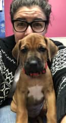 The newest bestie and member of the family, Sebastian