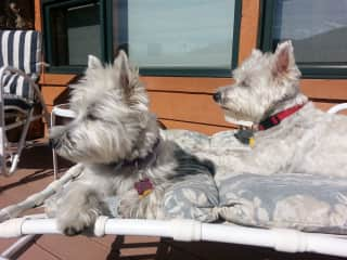 Toby & Meagan on back deck.