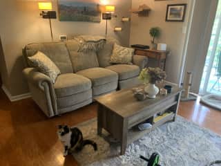 Living area and Tazzy.
