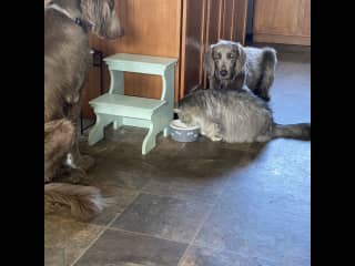 All pals!