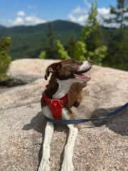 Happiest when hiking