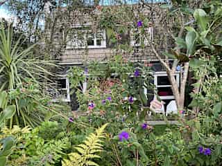 House from street view