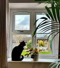 View from the office and a favourite spot for Daisy.