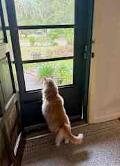 What is going on out there?!