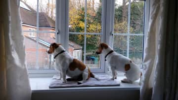Always alert and on the look out