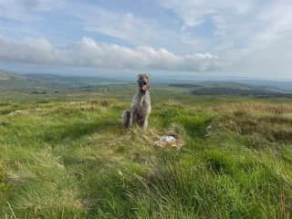 Fiadh enjoying one of the local views