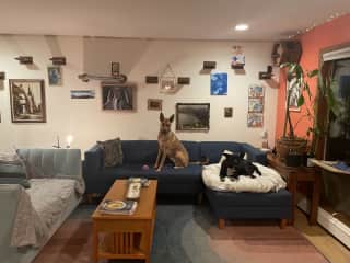 living area