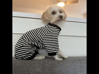 I like PJs and being cozy on the couch!