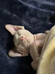 I love to sleep in soft blankets
