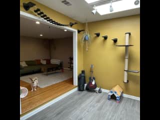 Sunroom with cat playground  and doorway to living room