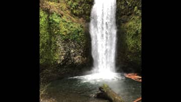 One of the many Waterfalls in the Columbia Gorge